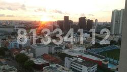 City Square Residences (D8), Condominium #88523982
